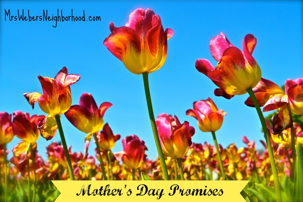 Mother's Day Promises