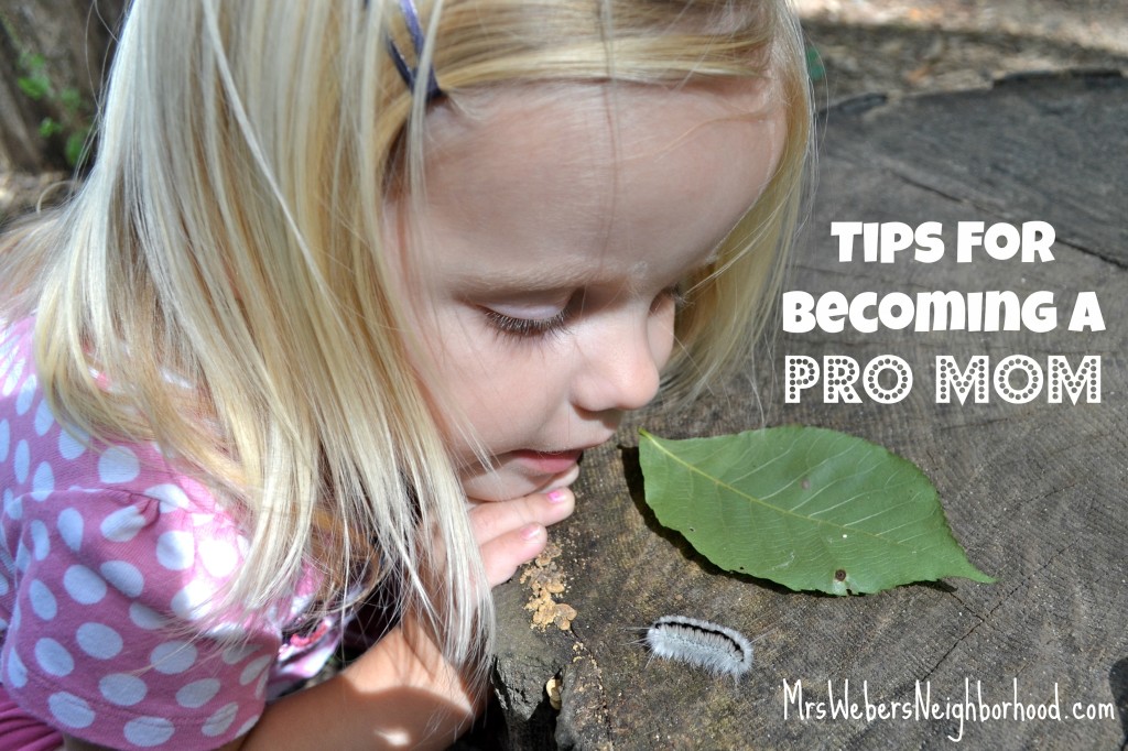 Tips For Becoming A Pro Mom