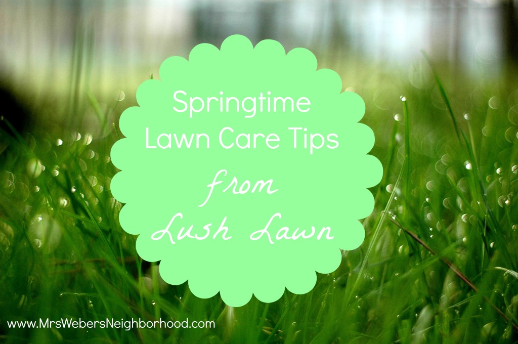 Springtime Lawn Care Tips from Lush Lawn