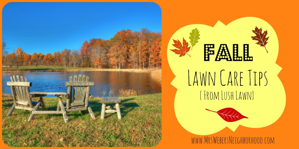 Fall Lawn Care Tips