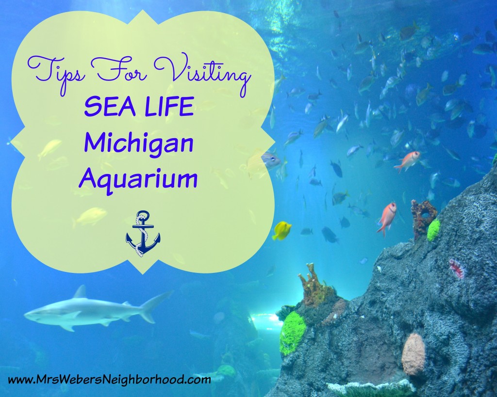 Tips for visiting SEA LIFE Michigan Aquarium