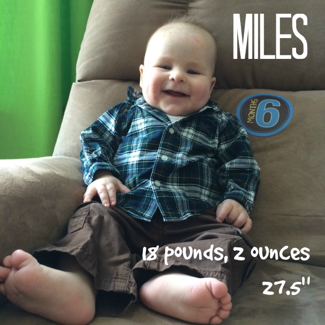 Miles - 6 Months