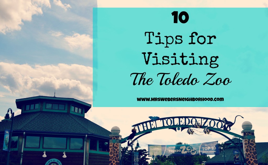10 Tips for Visiting The Toledo Zoo