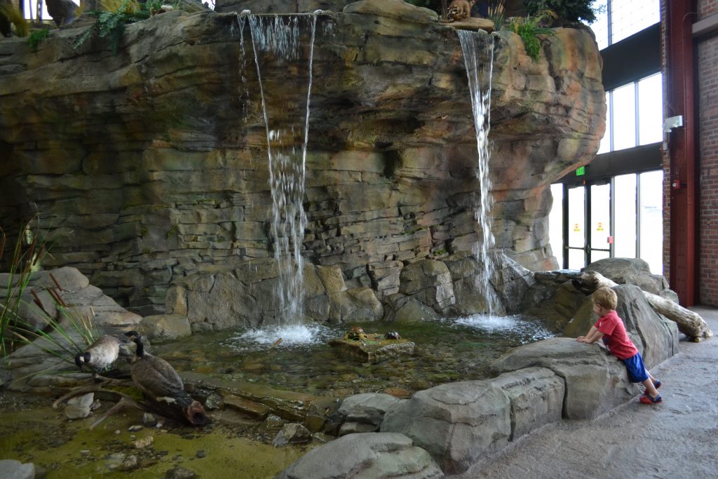 Waterfall inside the DNR Outdoor Adventure Center in Detroit