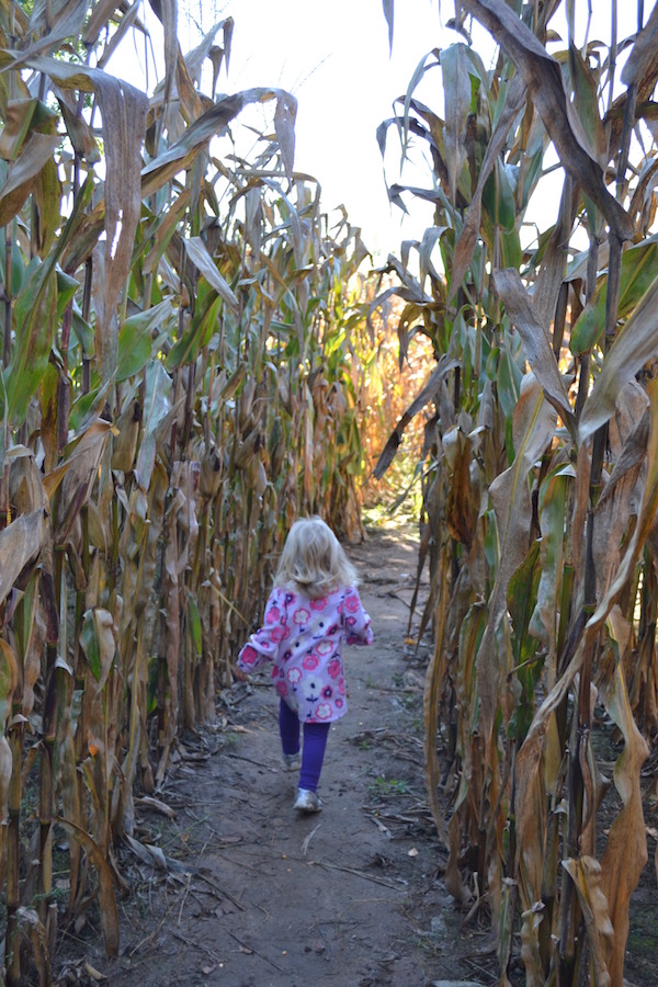 Ideas for Places To Go With Kids In Southeast Michigan In Fall