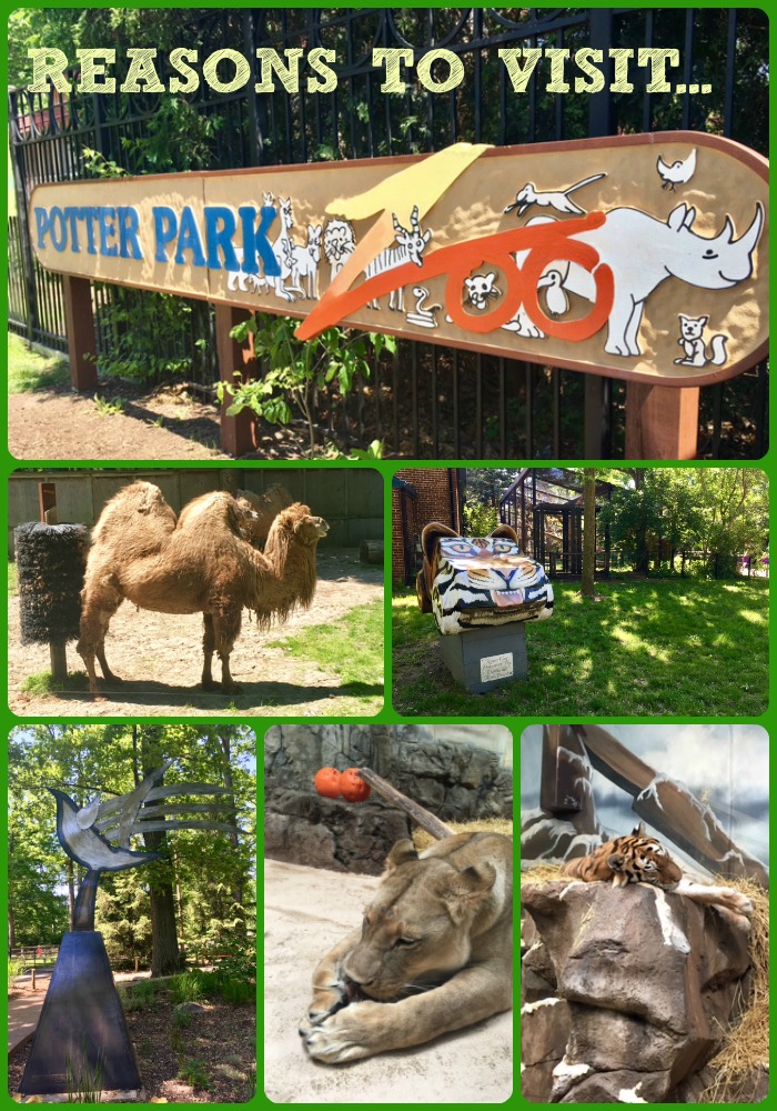 Reasons to Visit Potter Park Zoo