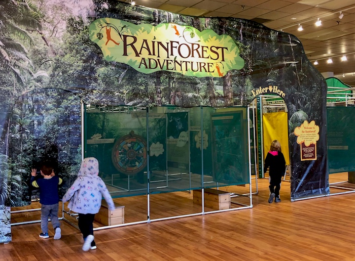 Rainforest Adventure - Sloan Museum