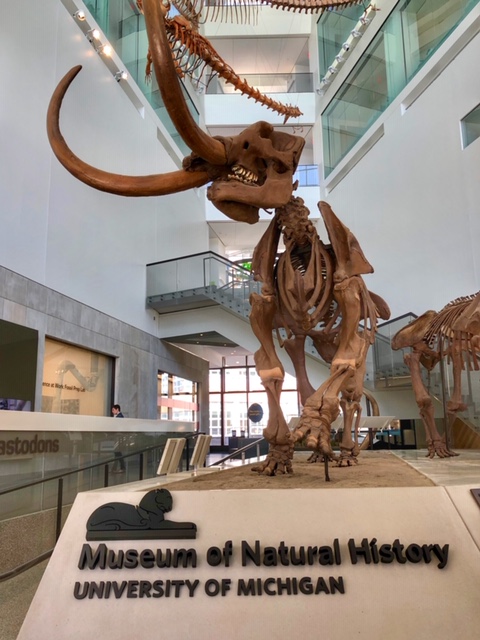 University of Michigan's Museum of Natural History