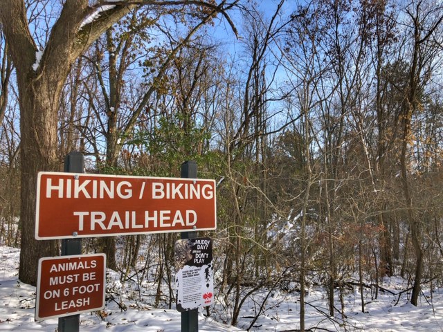 Hiking Trails for Families in Southeast Michigan