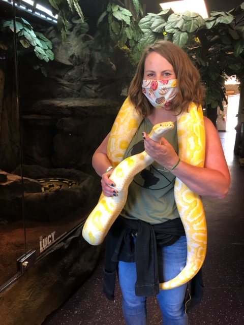 Woman holding Sunrise, a yellow 60-pound Burmese python at The Reptarium in Utica, Michigan