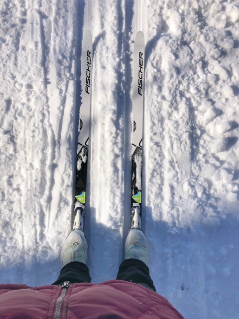 Cross Country Skiing at Huron Meadows Metropark