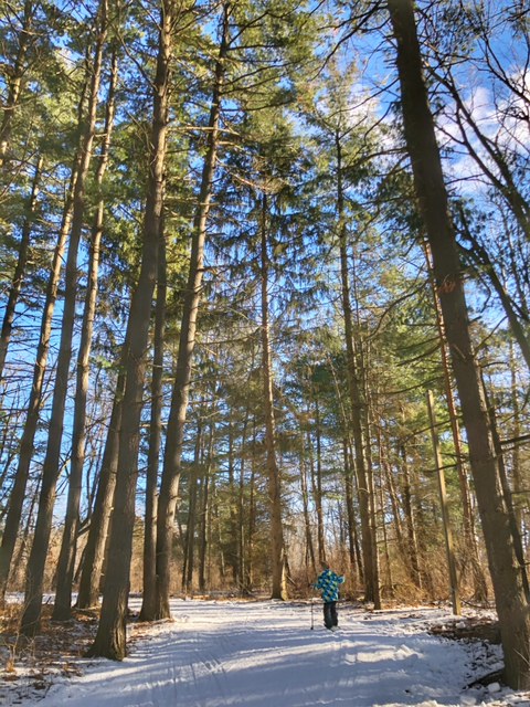 Cross Country Skiing at Huron Meadows Metropark